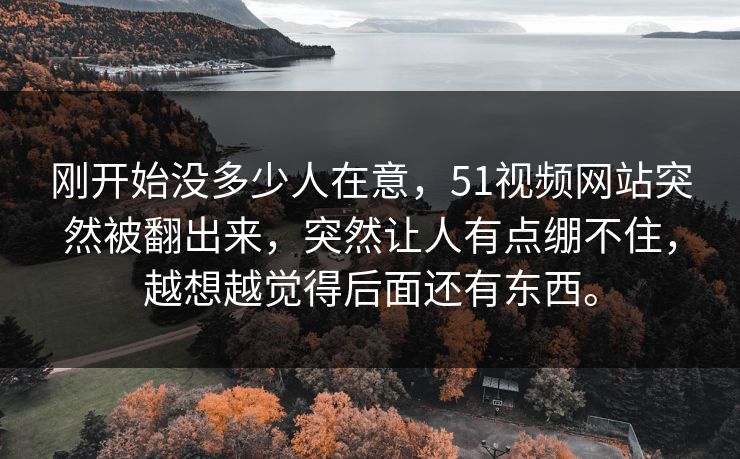 刚开始没多少人在意，51视频网站突然被翻出来，突然让人有点绷不住，越想越觉得后面还有东西。