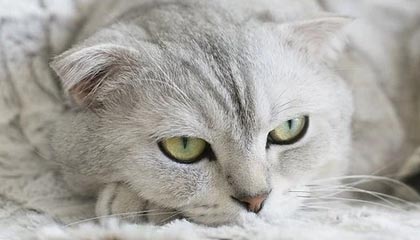 51爆料为什么会在这时候被重新提起,这次最有意思的偏偏是后半段,后劲大到让人不敢轻易下判断。