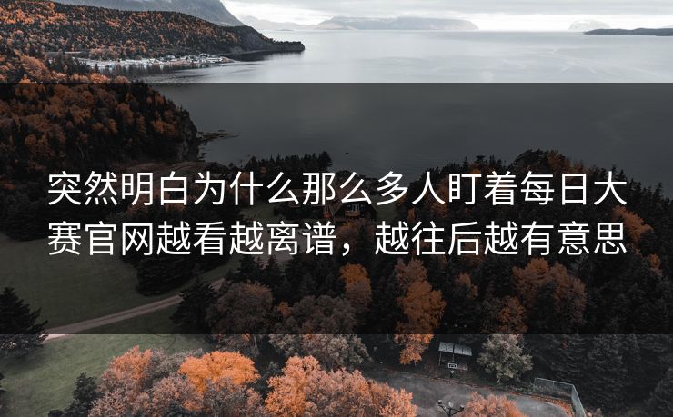 突然明白为什么那么多人盯着每日大赛官网越看越离谱，越往后越有意思