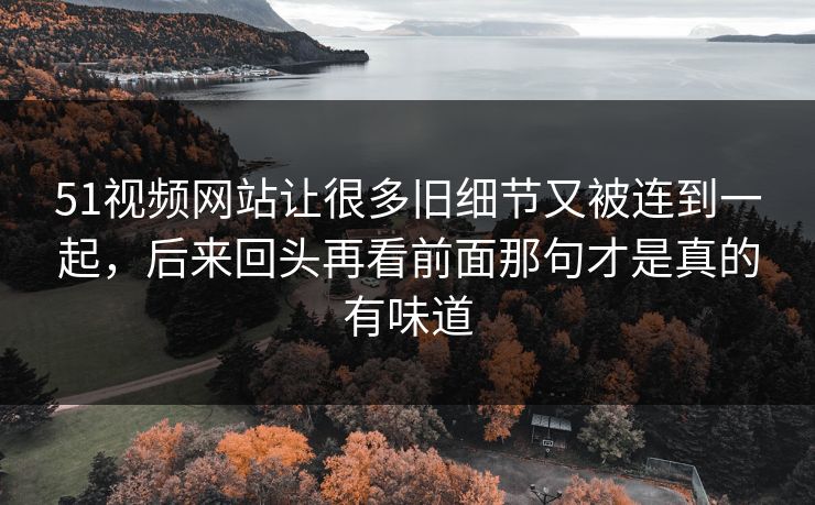 51视频网站让很多旧细节又被连到一起，后来回头再看前面那句才是真的有味道